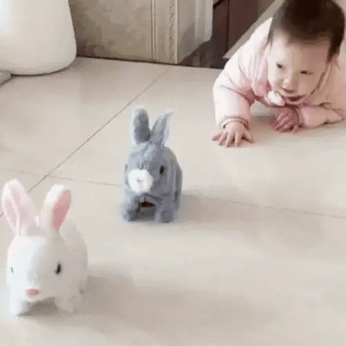 Walking Rabbit Toy